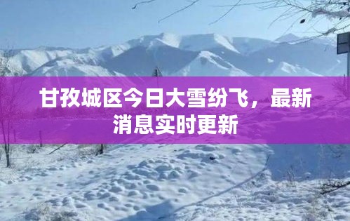 甘孜城区今日大雪纷飞，最新消息实时更新