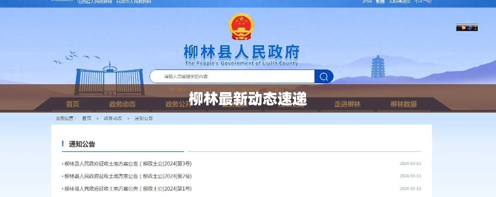 柳林最新动态速递