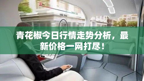 青花椒今日行情走势分析，最新价格一网打尽！