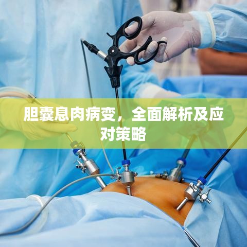 胆囊息肉病变，全面解析及应对策略