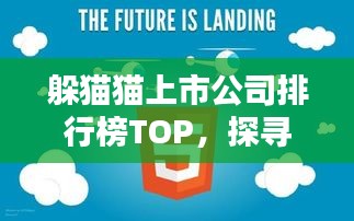 躲猫猫上市公司排行榜TOP，探寻行业翘楚，揭秘隐藏巨头！