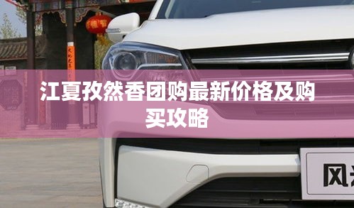 江夏孜然香团购最新价格及购买攻略
