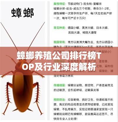 蟑螂养殖公司排行榜TOP及行业深度解析