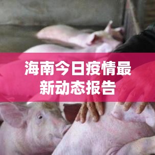 海南今日疫情最新动态报告