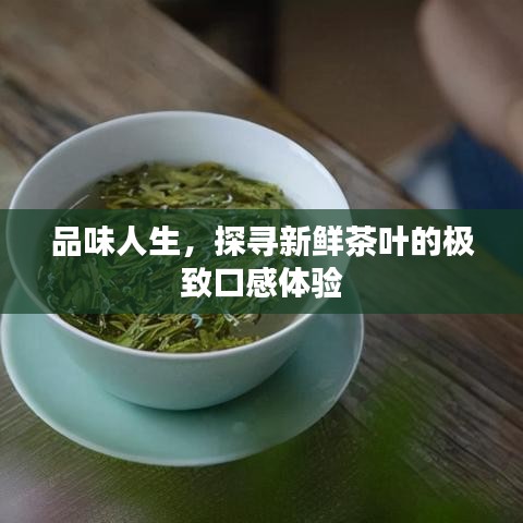 品味人生，探寻新鲜茶叶的极致口感体验