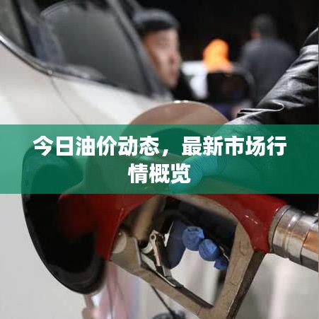 今日油价动态，最新市场行情概览