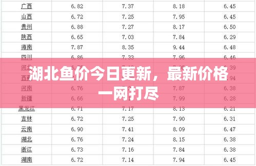 湖北鱼价今日更新，最新价格一网打尽
