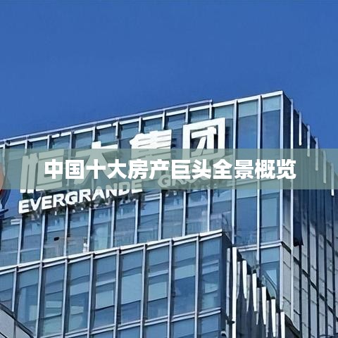 中国十大房产巨头全景概览