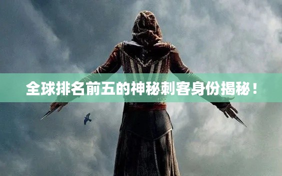 全球排名前五的神秘刺客身份揭秘！