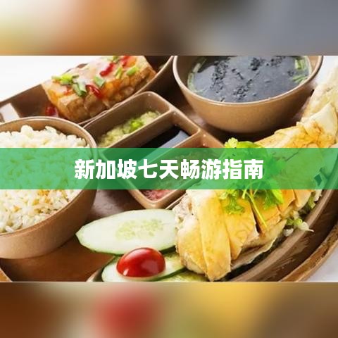 新加坡七天畅游指南