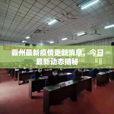 霸州最新疫情更新消息，今日最新动态揭秘