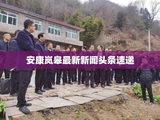 安康岚皋最新新闻头条速递