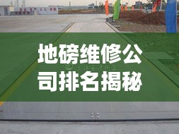 弃文就武