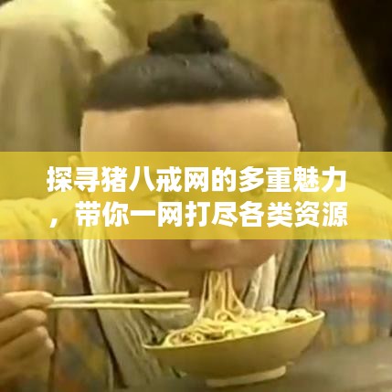 探寻猪八戒网的多重魅力，带你一网打尽各类资源！