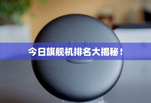 今日旗舰机排名大揭秘！