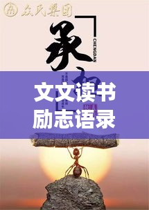 文文读书励志语录，追寻知识的力量，成就辉煌人生之路