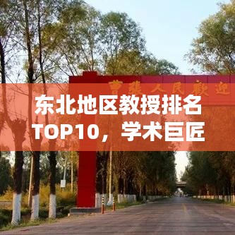 东北地区教授排名TOP10，学术巨匠闪耀东北教育界