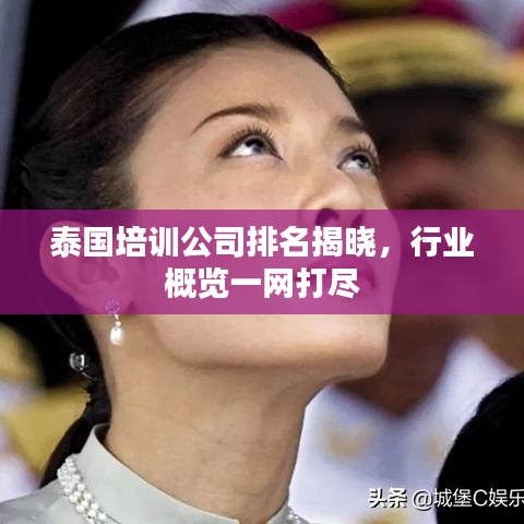泰国培训公司排名揭晓，行业概览一网打尽