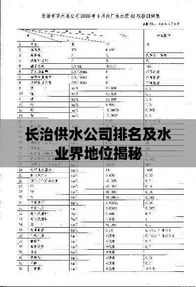 长治供水公司排名及水业界地位揭秘
