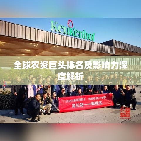 全球农资巨头排名及影响力深度解析