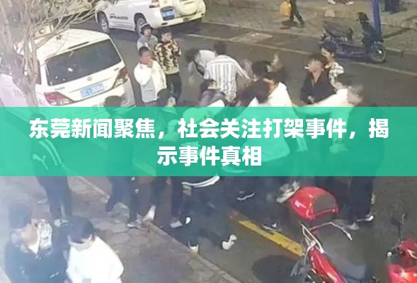 东莞新闻聚焦，社会关注打架事件，揭示事件真相