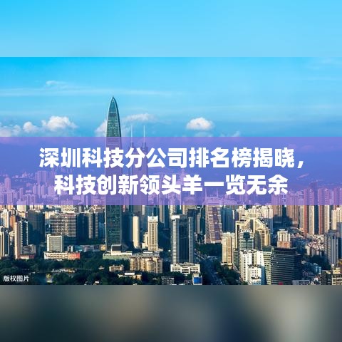 深圳科技分公司排名榜揭晓，科技创新领头羊一览无余