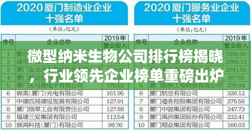 微型纳米生物公司排行榜揭晓，行业领先企业榜单重磅出炉！