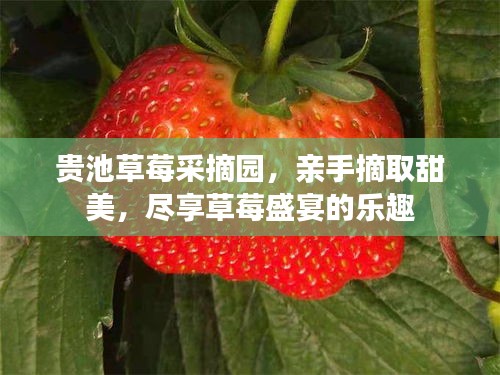 标新竞异