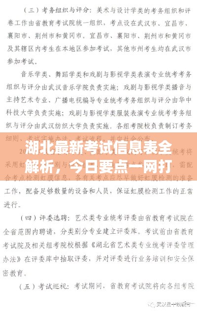 湖北最新考试信息表全解析，今日要点一网打尽
