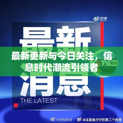 轻徙鸟举