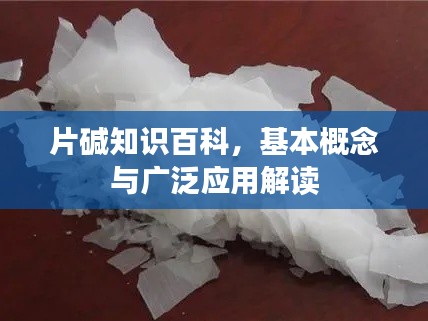 片碱知识百科，基本概念与广泛应用解读
