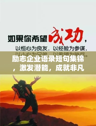 眉清目秀