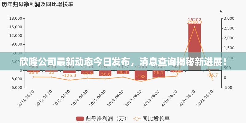 欣隆公司最新动态今日发布，消息查询揭秘新进展！