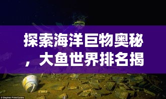 探索海洋巨物奥秘，大鱼世界排名揭秘