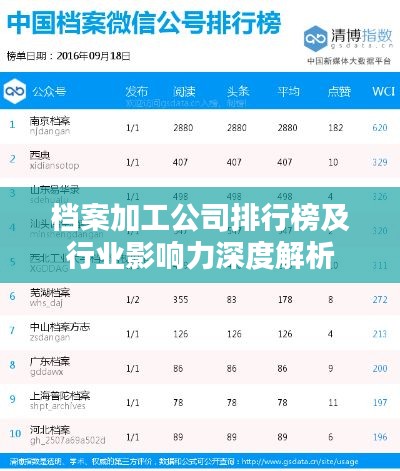 档案加工公司排行榜及行业影响力深度解析