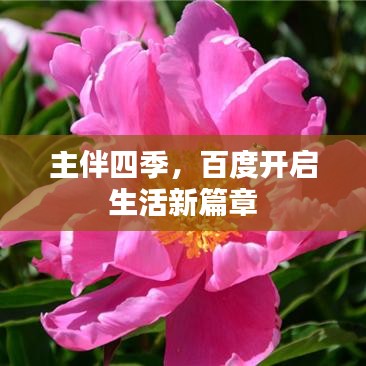 雍容尔雅
