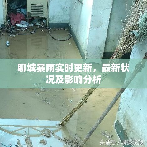 聊城暴雨实时更新，最新状况及影响分析