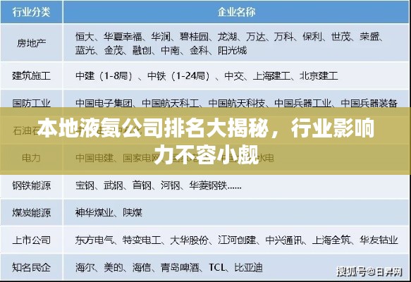 本地液氨公司排名大揭秘，行业影响力不容小觑