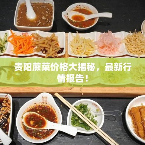 贵阳蕨菜价格大揭秘，最新行情报告！