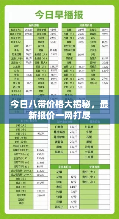 今日八带价格大揭秘，最新报价一网打尽