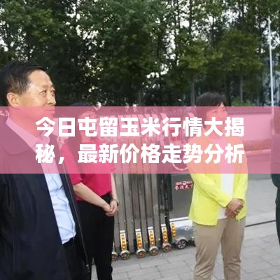 今日屯留玉米行情大揭秘，最新价格走势分析！