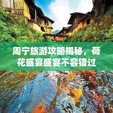 贵阴贱璧