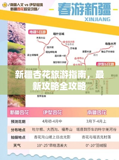 新疆杏花旅游指南，最新攻略全攻略