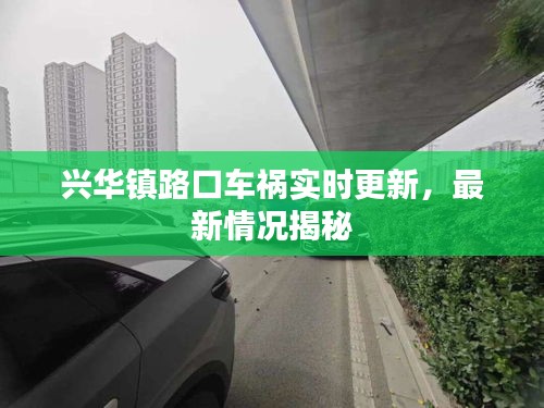 小家碧玉