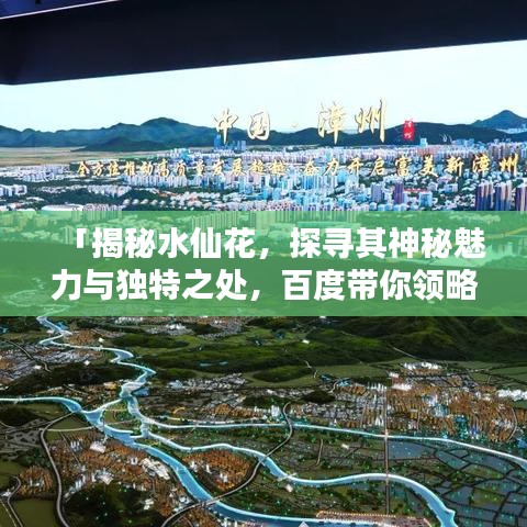 「揭秘水仙花，探寻其神秘魅力与独特之处，百度带你领略精彩世界！」