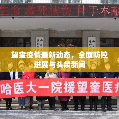 望奎疫情最新动态，全面防控进展与头条新闻