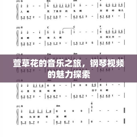 萱草花的音乐之旅，钢琴视频的魅力探索