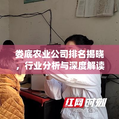 娄底农业公司排名揭晓，行业分析与深度解读