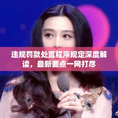 违规罚款处置程序规定深度解读，最新要点一网打尽