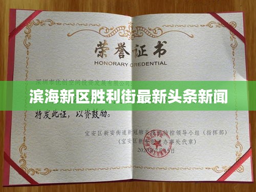 滨海新区胜利街最新头条新闻
